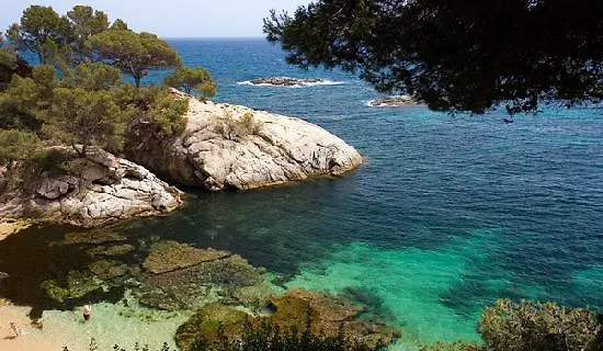 Apartamento Mar L'Ametlla de Mar Spain